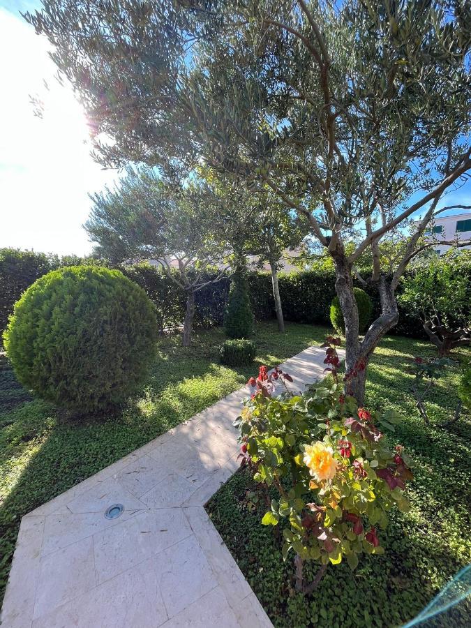Apartman Stipic 1 Baška Voda المظهر الخارجي الصورة