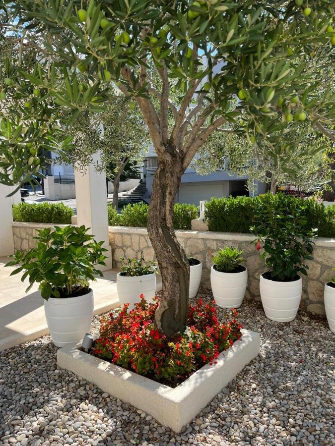 Apartman Stipic 1 Baška Voda المظهر الخارجي الصورة