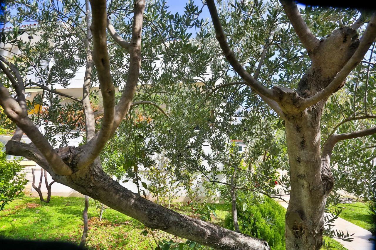 Apartman Stipic 1 Baška Voda المظهر الخارجي الصورة